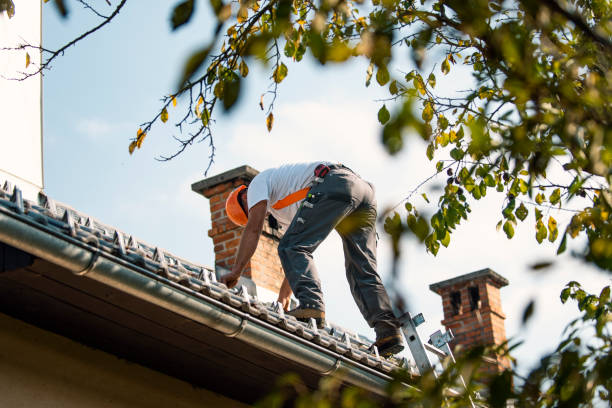 Steel Roofing in Seadrift, TX